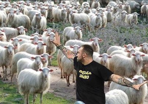 Gennaro è 'na carogna ma gli Italiani sono pecore!